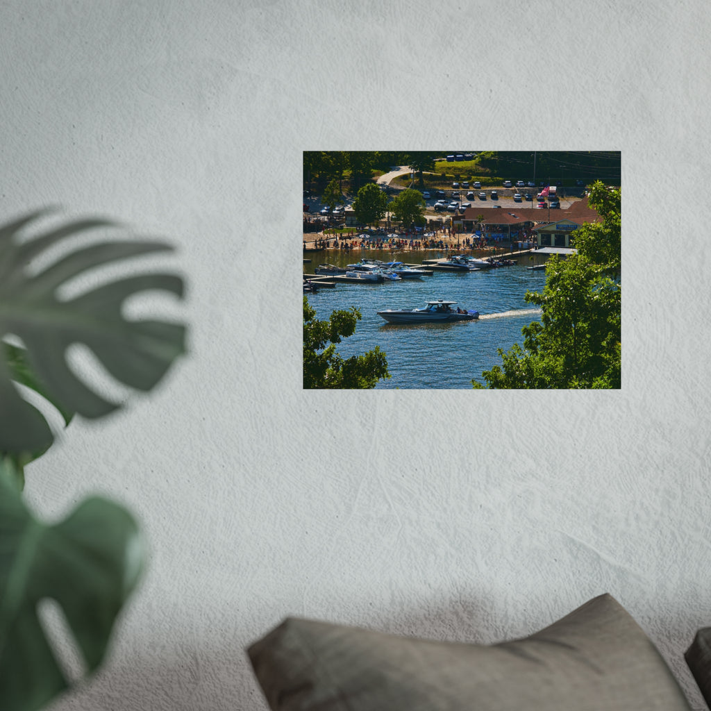 Summer on the Cove