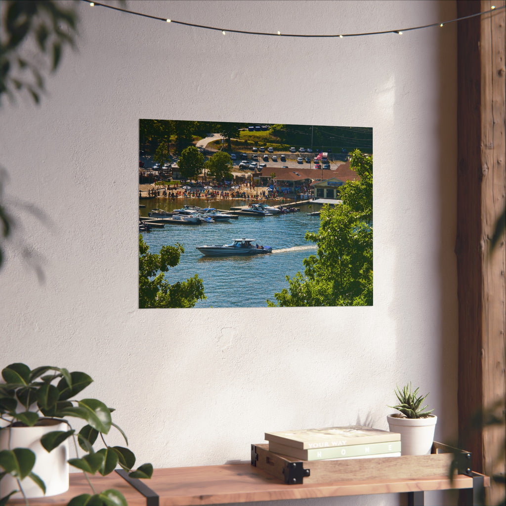 Summer on the Cove