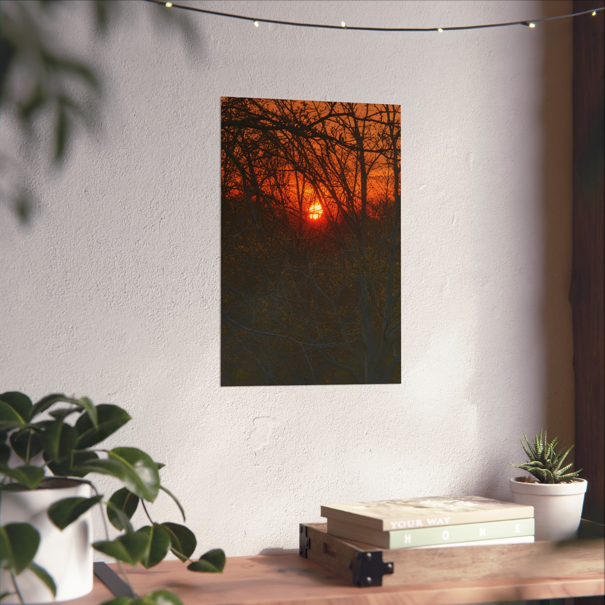 Entangled Ember in KCMO Sunset