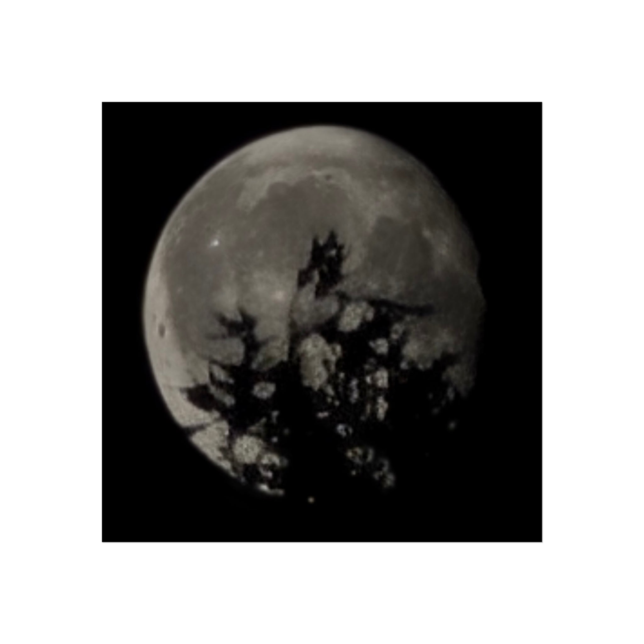 Moonlit Sentinel