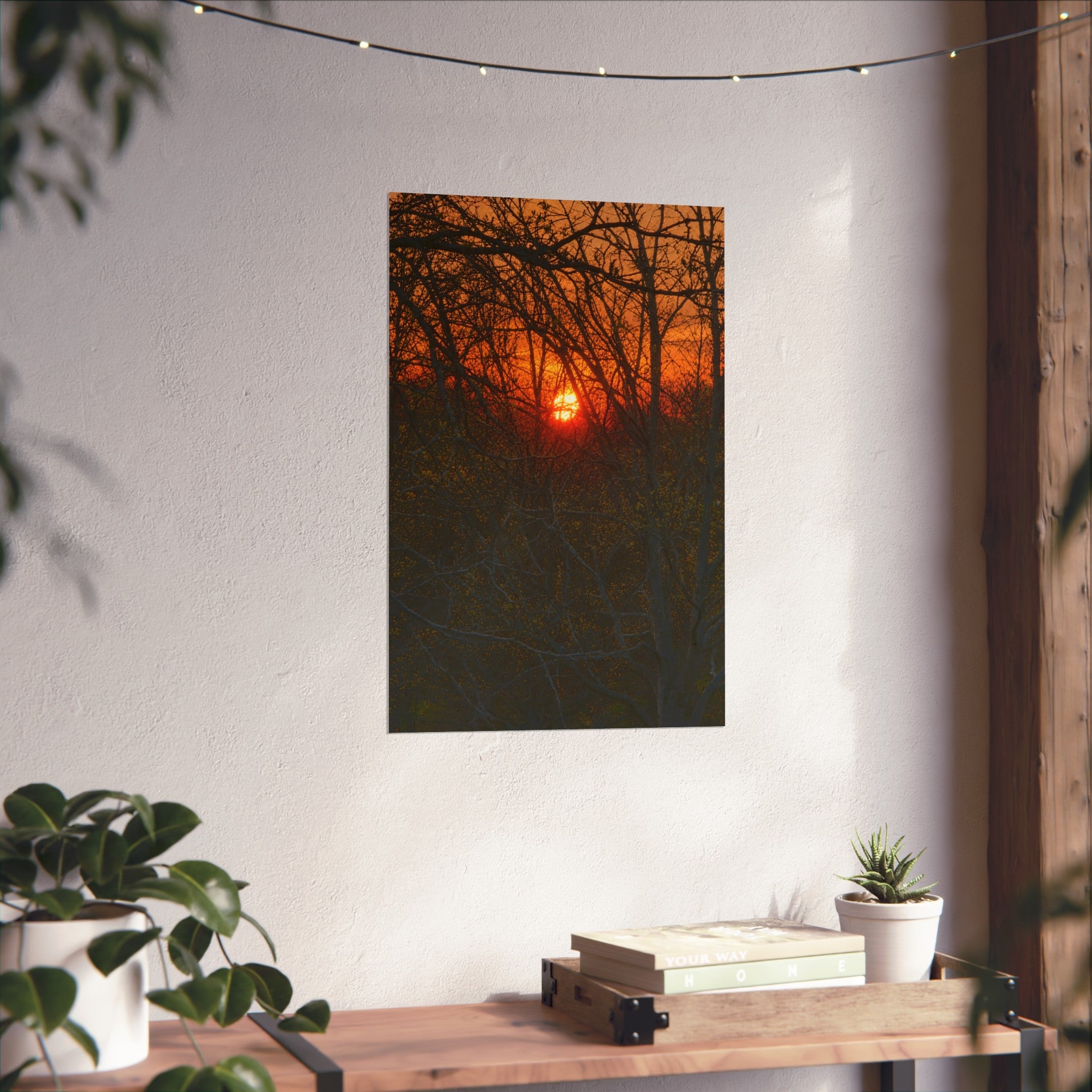 Entangled Ember in KCMO Sunset