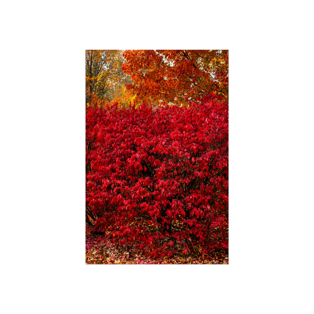 Missouri Autumn