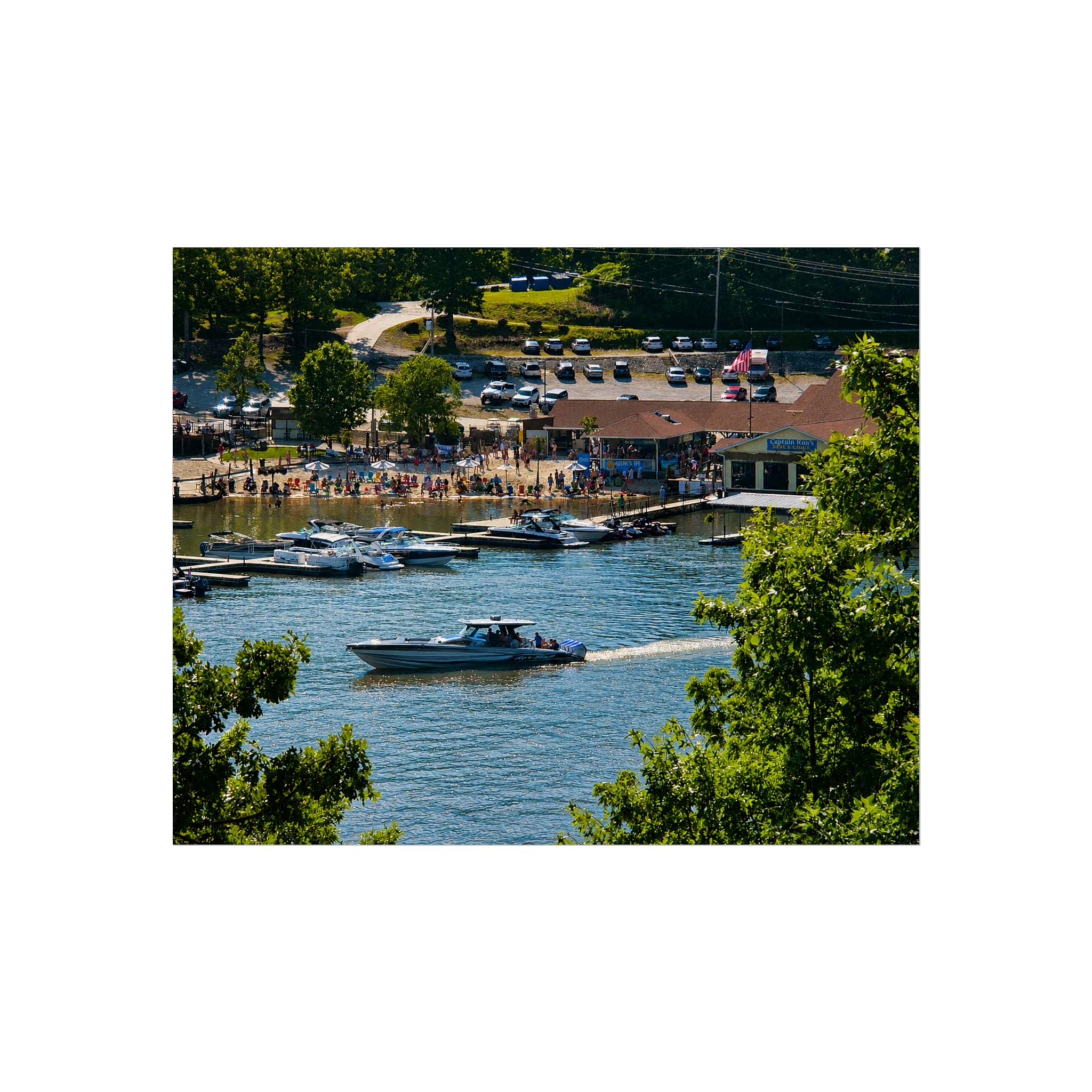 Summer on the Cove