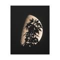 Moonlit Veil