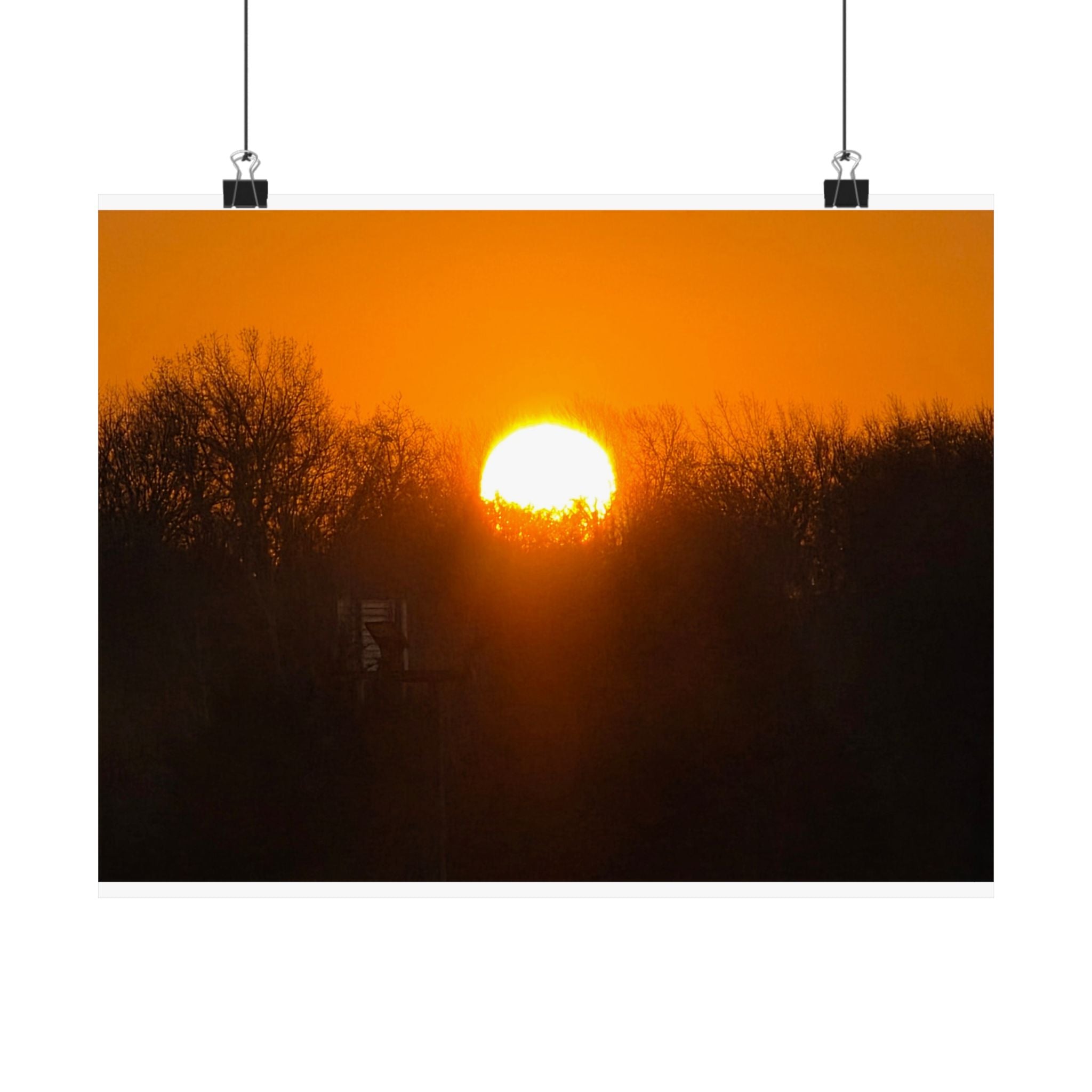 Missouri Sunset – Golden Horizon Through Trees