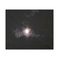 Moon Through the Canopy