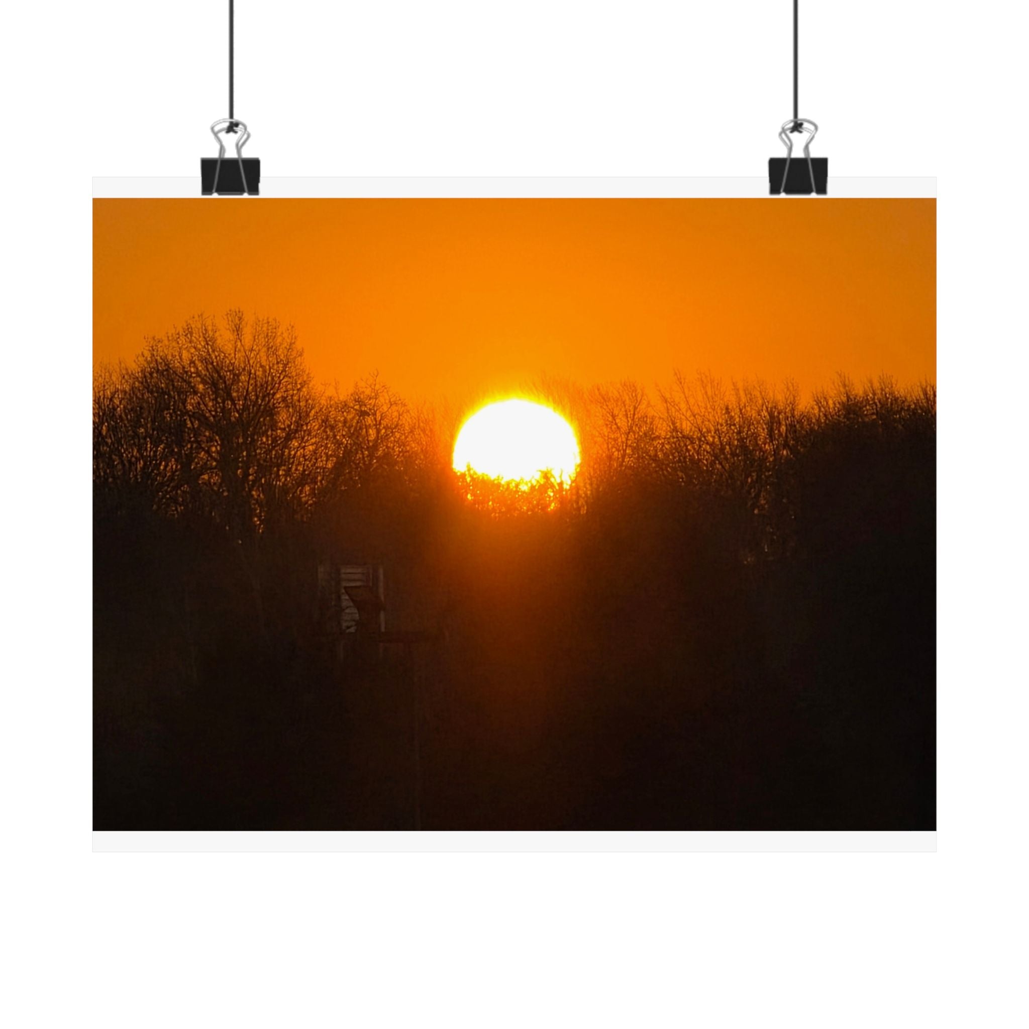Missouri Sunset – Golden Horizon Through Trees
