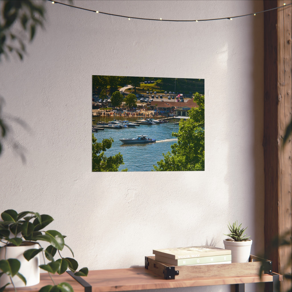 Summer on the Cove