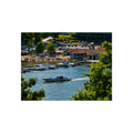 Summer on the Cove