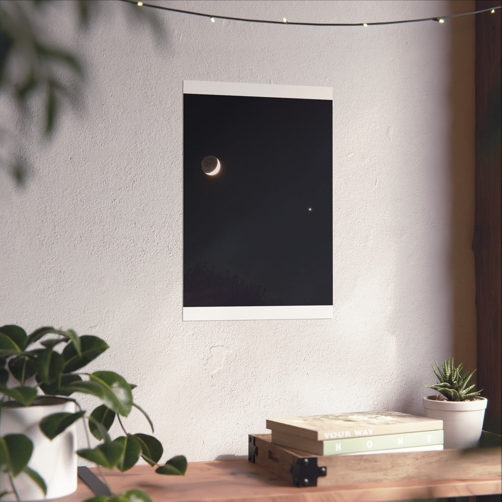 Moonlit Companion
