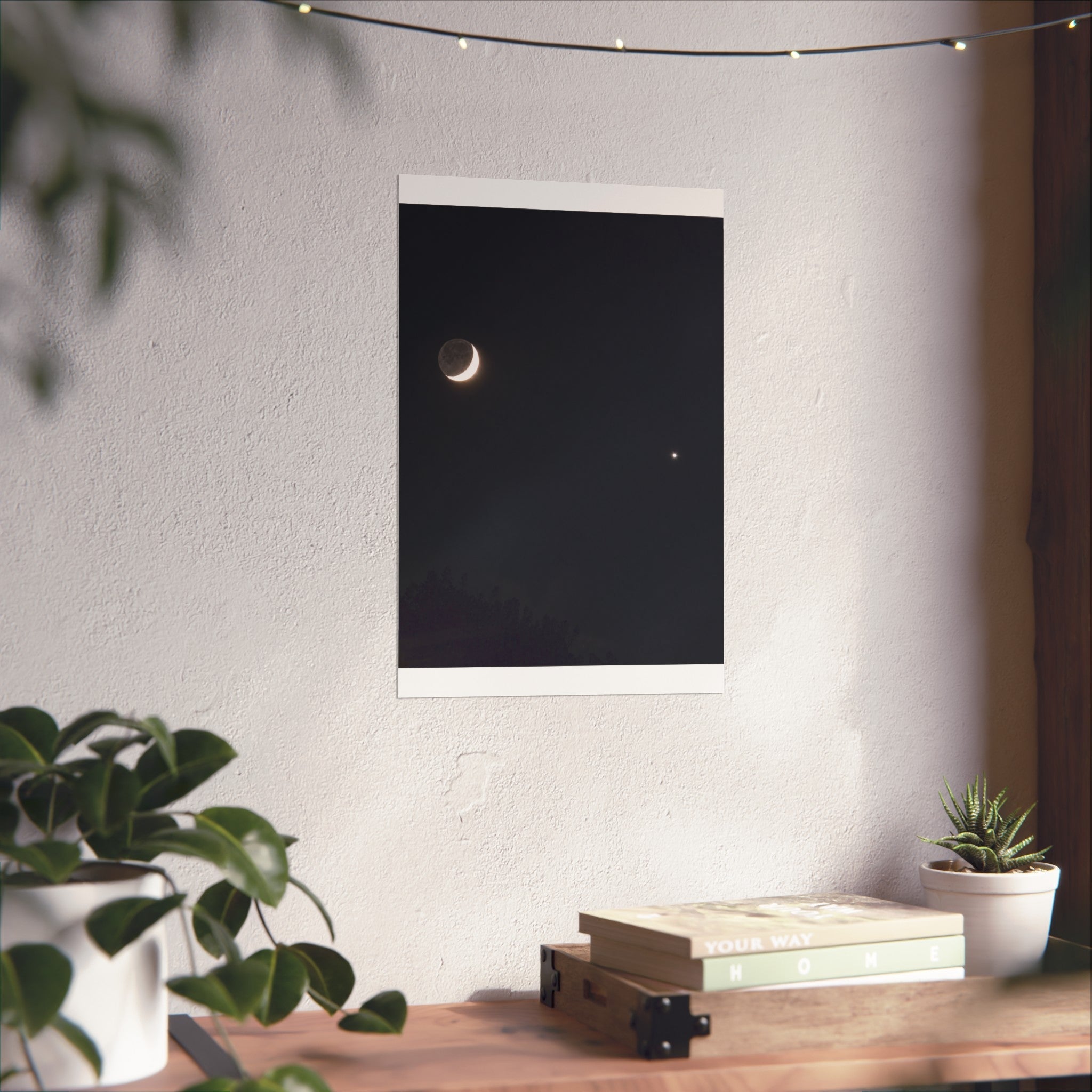 Moonlit Companion