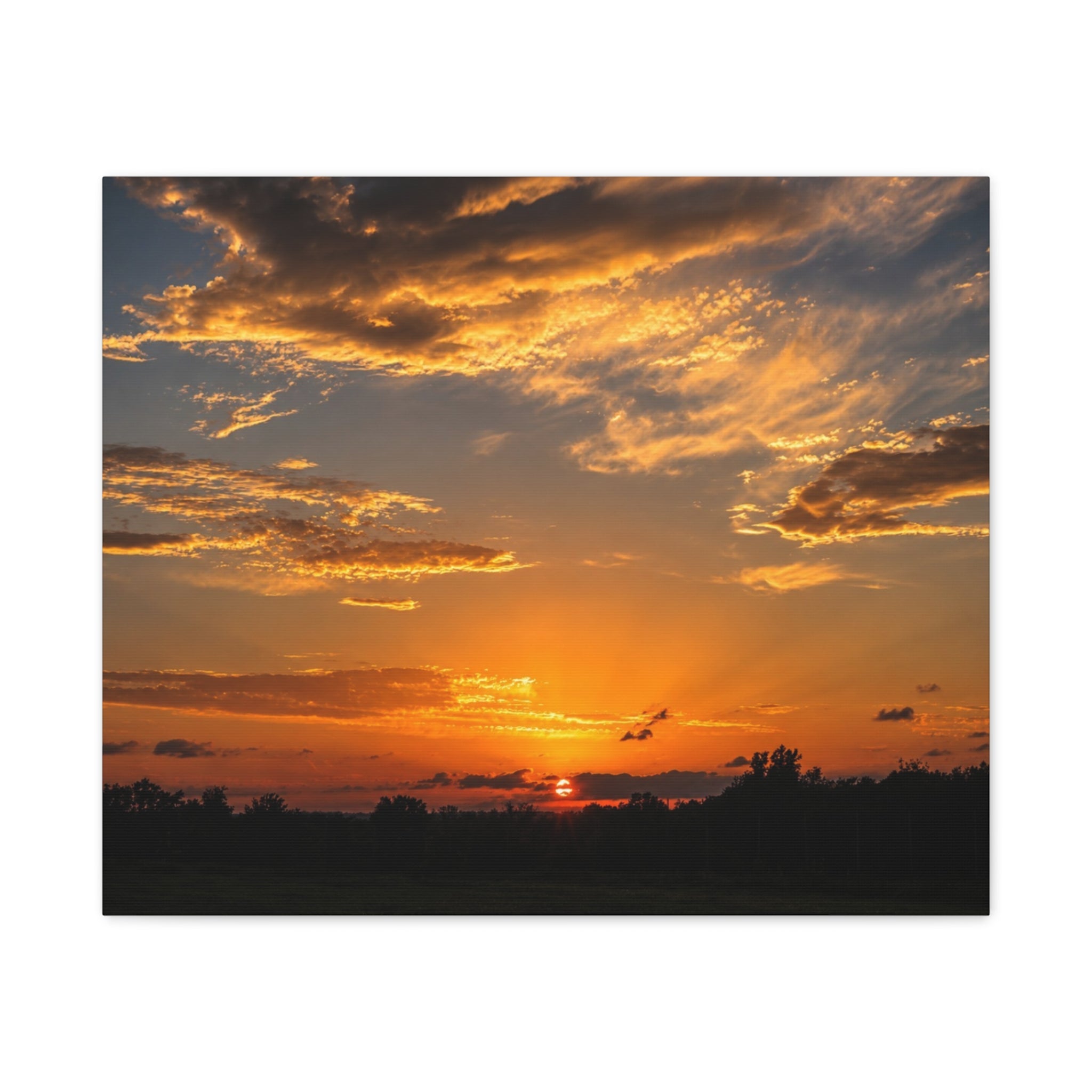 Golden Horizon