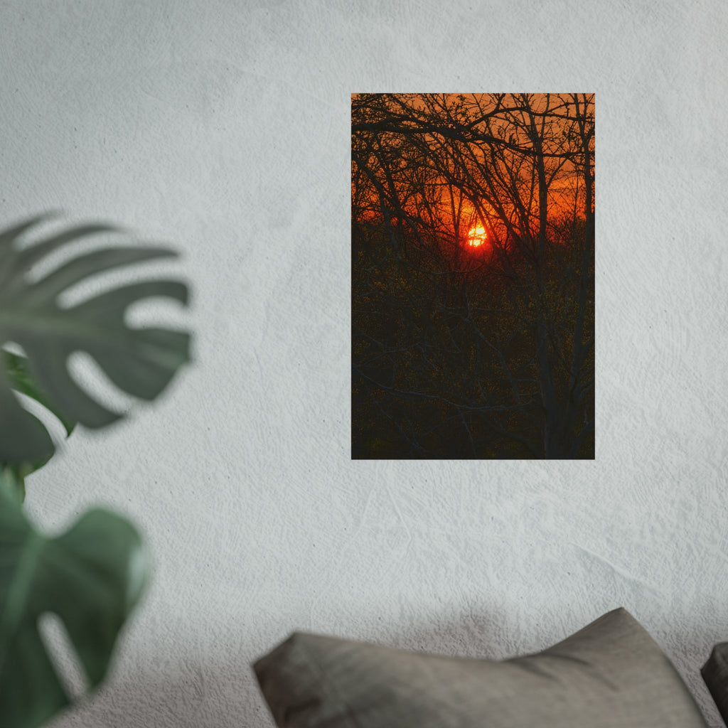 Entangled Ember in KCMO Sunset