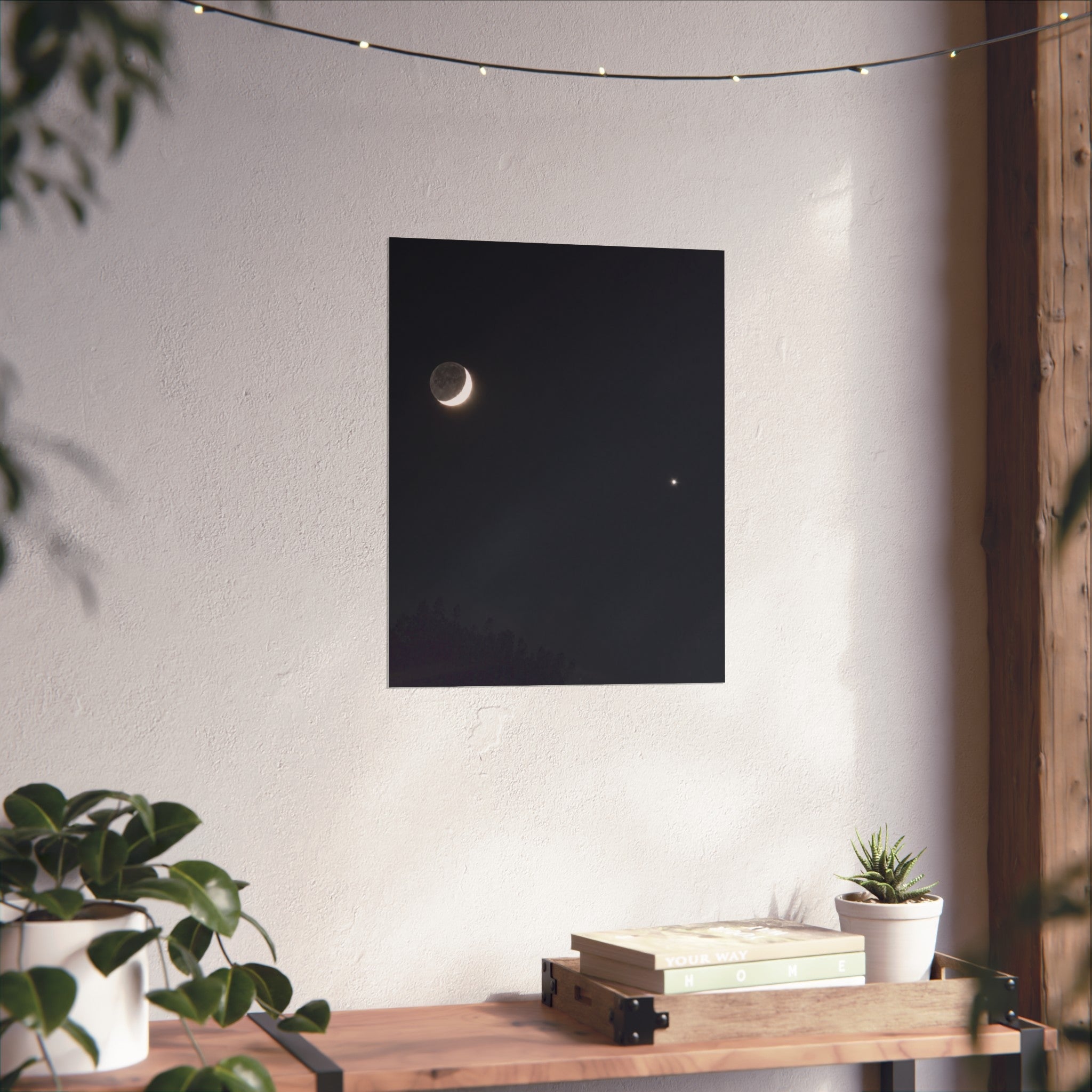 Moonlit Companion