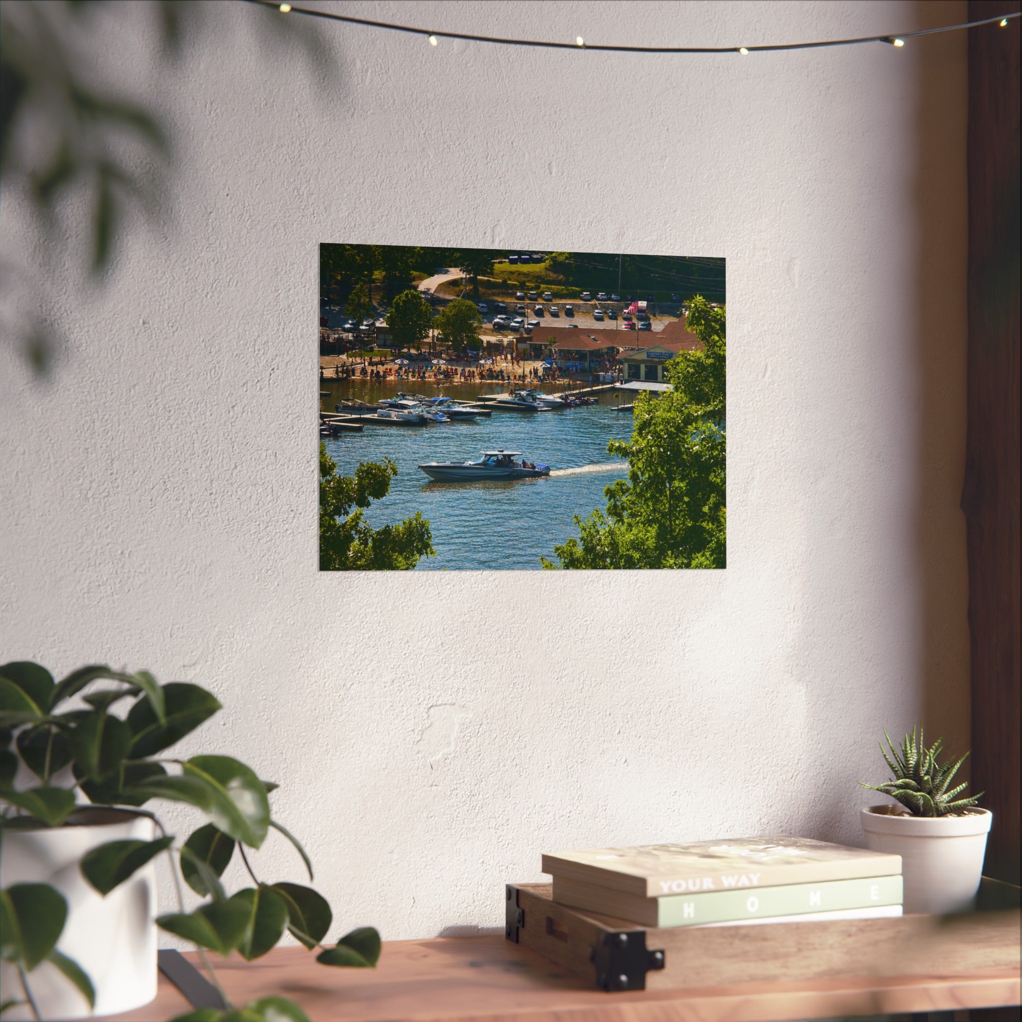 Summer on the Cove