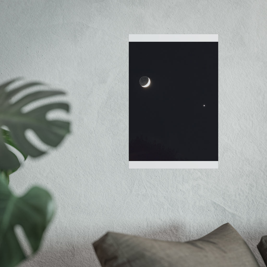Moonlit Companion