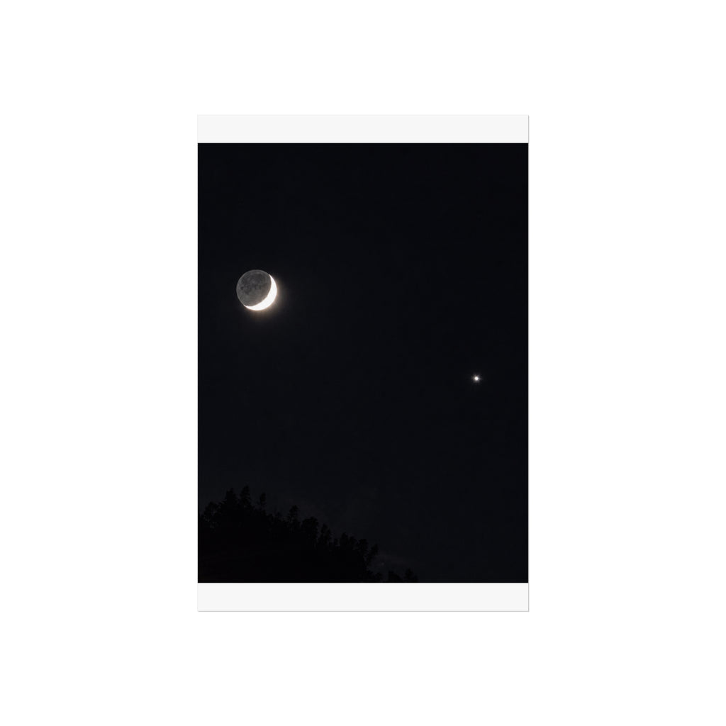 Moonlit Companion