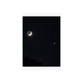 Moonlit Companion