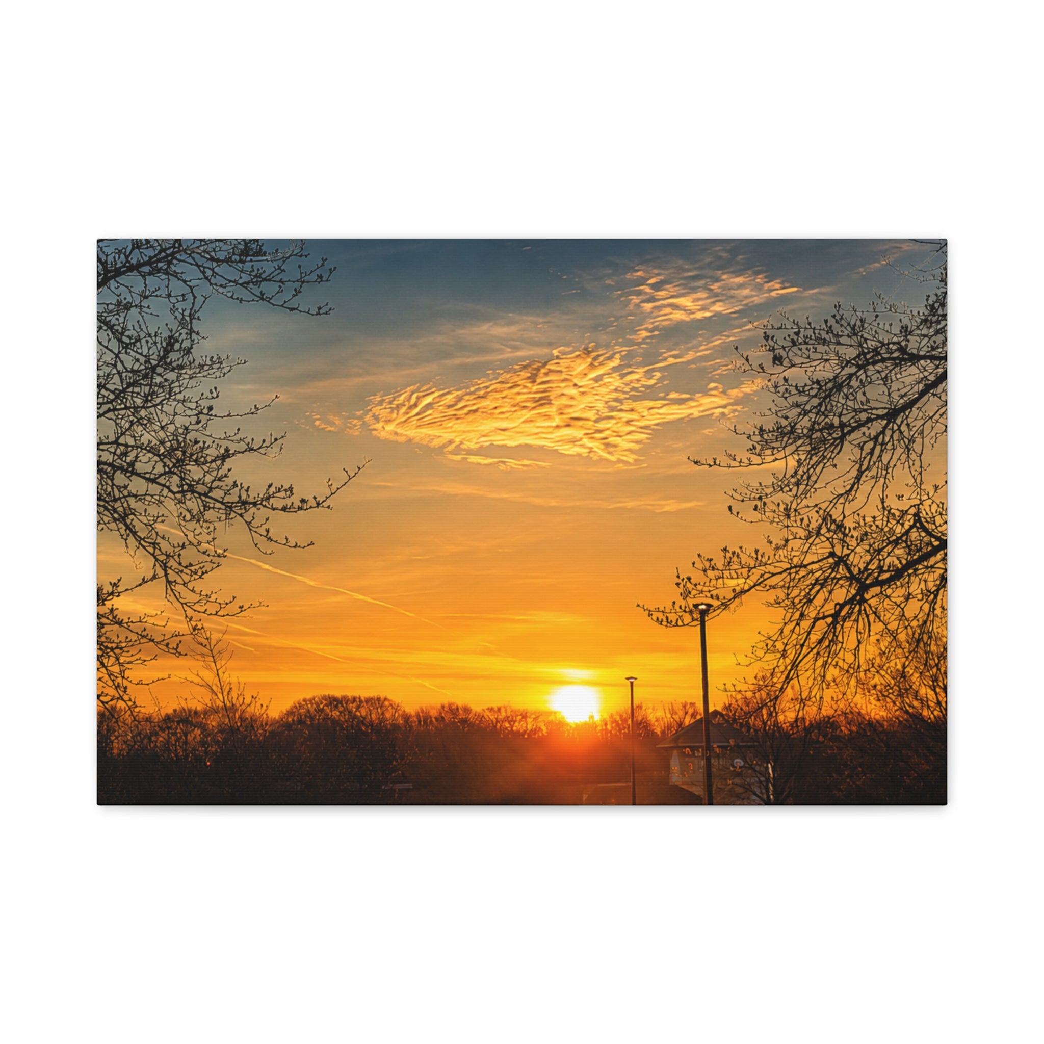 Golden Silence