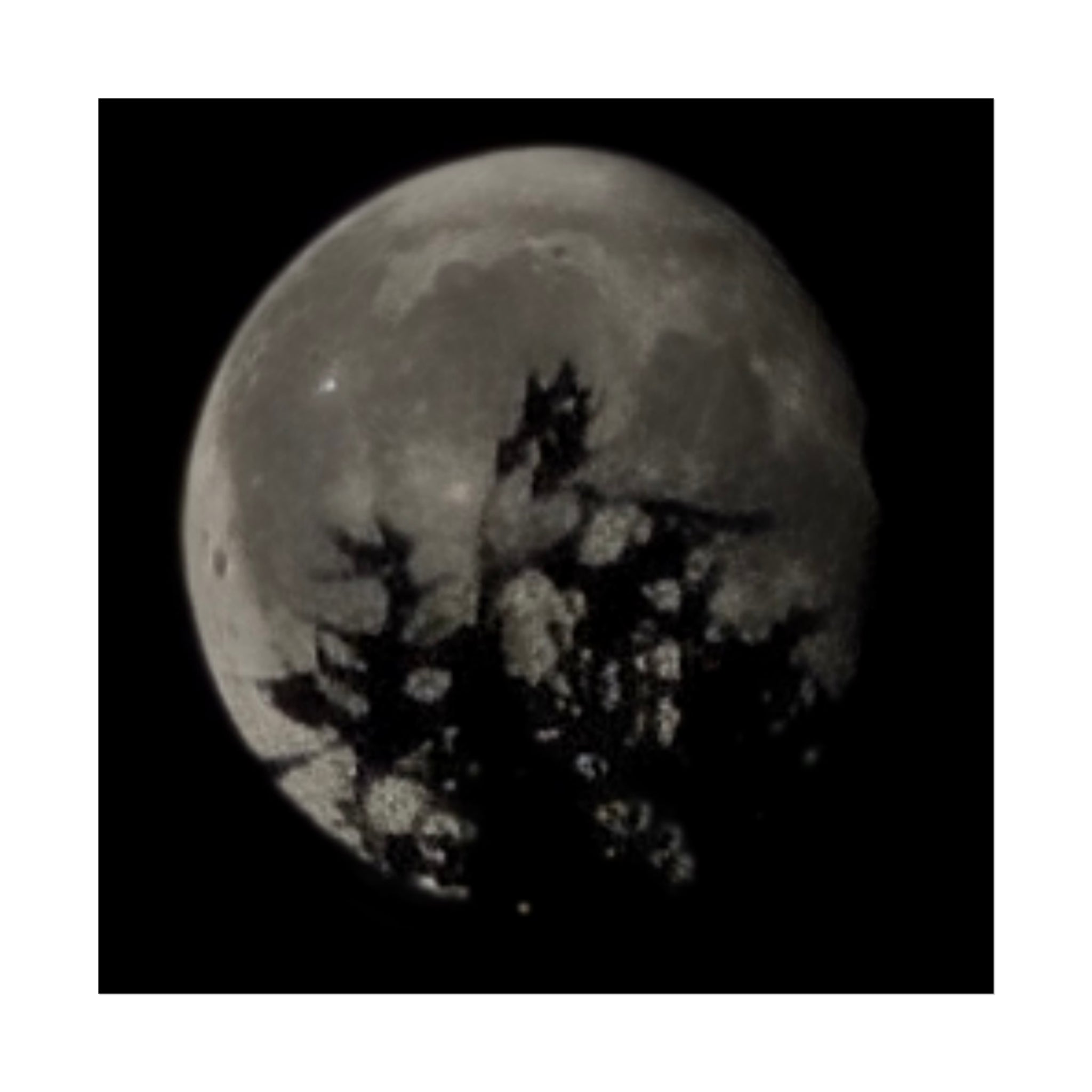 Moonlit Sentinel
